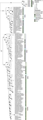 Genome-Wide Analysis of the Fatty <mark class="highlighted">Acid</mark> Desaturase Gene Family Reveals the Key Role of PfFAD3 in α-Linolenic <mark class="highlighted">Acid</mark> Biosynthesis in Perilla Seeds